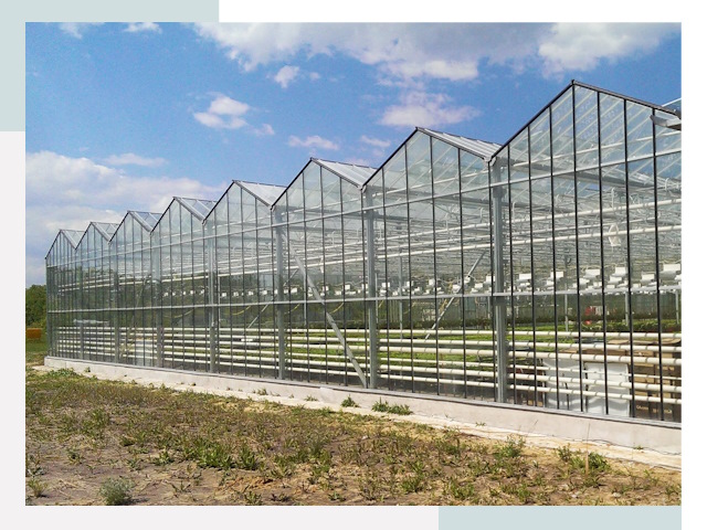 Строительство теплиц в Сатка от 621 руб. за м²